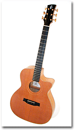 acoustic