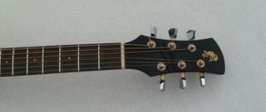 P5160057
